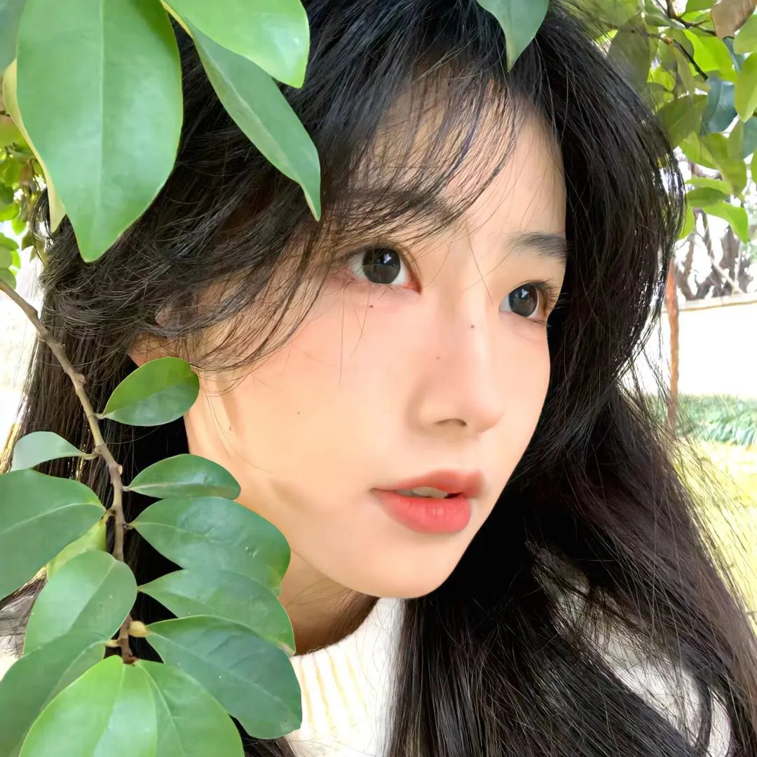 梦露与我的浪漫周记